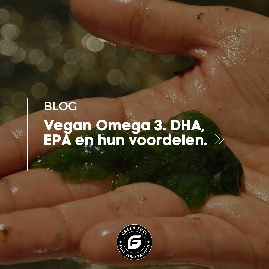 Vegan Omega 3: De Beste Plantaardige Bron van DHA en EPA voor je Gezondheid - Green Fuel BV