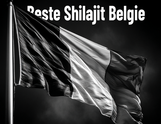 Shilajit kopen België