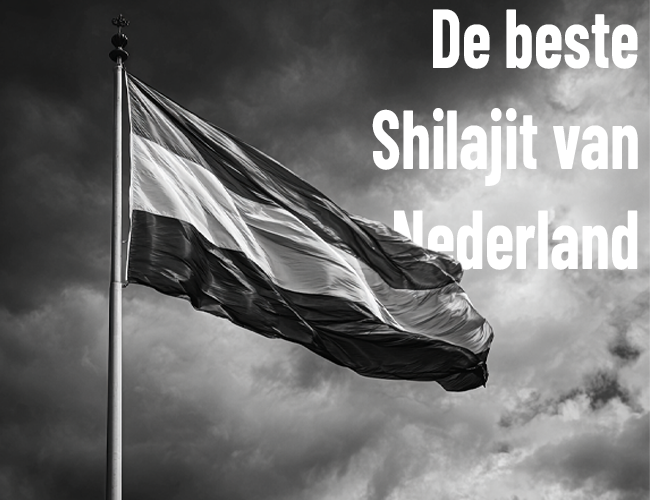 Beste shilajit Nederland
