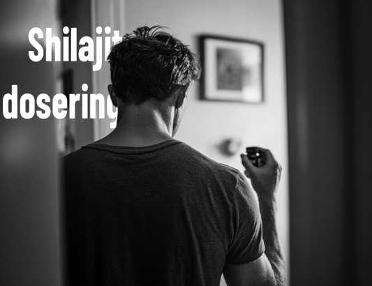 Shilajit dosering