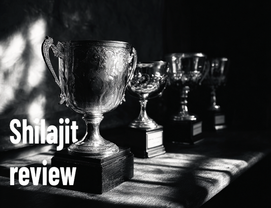 Shilajit review