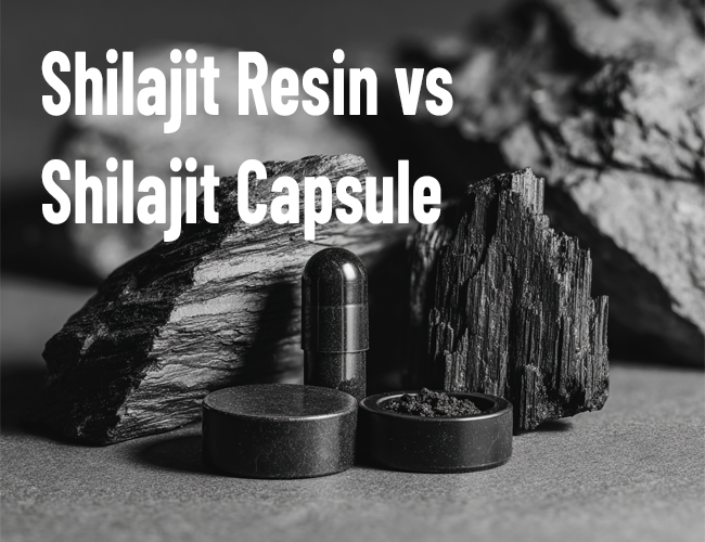Shilajit resin vs capsules