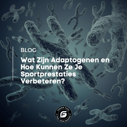 Wat zijn adaptogenen en hoe verbeteren ze je sportprestaties? - Green Fuel BV